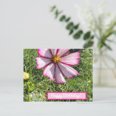 Postale Carte de poste de fleurs Cosmo rose, Joyeux annive (Debout devant)