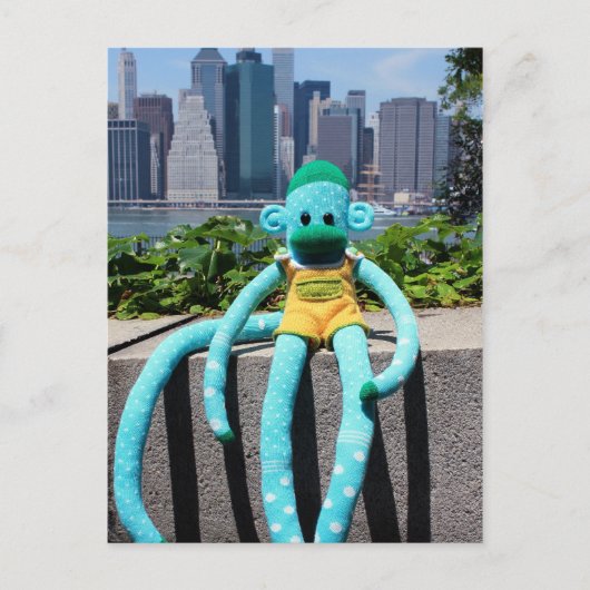 Postale Carte de poste de singe Mars Sock - Stuart (Devant)