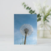 Postale Carte de poste de tête de semence de Dandelion (Debout devant)