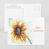 Postale Carte de poste de tournesol Plaines (Devant / Derrière)
