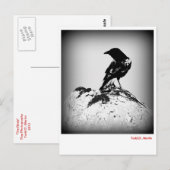 Postale Carte de poste du corbeau (Devant / Derrière)