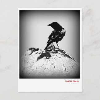 Postale Carte de poste du corbeau