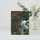 Postale Carte de poste KeyWest Tin Room (Debout devant)