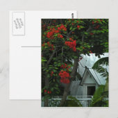 Postale Carte de poste KeyWest Tin Room (Devant / Derrière)