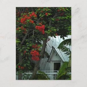 Postale Carte de poste KeyWest Tin Room