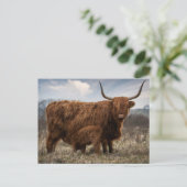 Postale Carte de poste "Schotte Hooglander" avec veau (Debout devant)