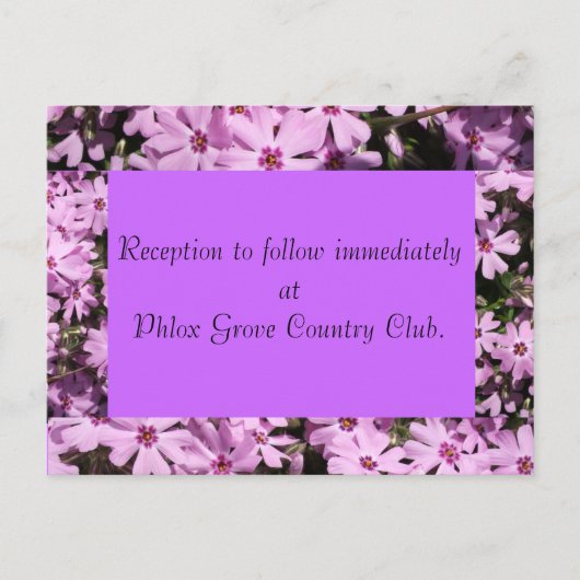 Postale Carte de réception de mariage violet Phlox (Devant)