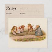 Postale Carte de recette Cochons de Guinée dans le jardin (Devant / Derrière)
