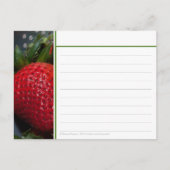 Postale Carte de recette fraise (Devant)