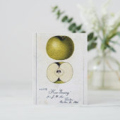 Postale Carte de recettes Apple vintage (Debout devant)