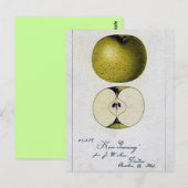 Postale Carte de recettes Apple vintage (Devant / Derrière)