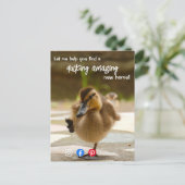 Postale Carte de recommandation drôle de jeune canard immo (Debout devant)