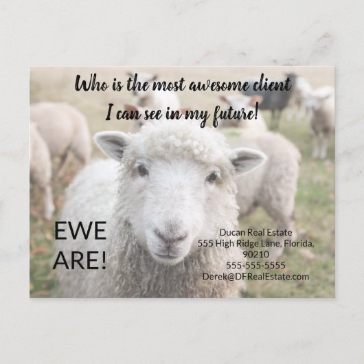 Postale Carte de recommandation immobilière Funny Sheep Ew (Devant)