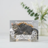Postale Carte de référence pour chat ayant dépassé les lim (Debout devant)