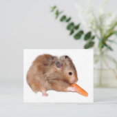 Postale Carte de régime Hamster (Debout devant)