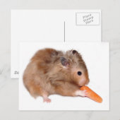 Postale Carte de régime Hamster (Devant / Derrière)