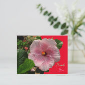 Postale Carte de remerciement à l'hibiscus rose (Debout devant)