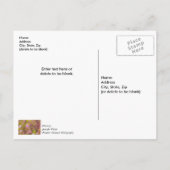 Postale Carte de remerciement abstraite œillets de saison (Dos)