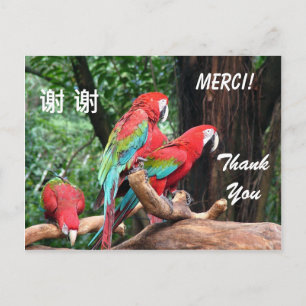 Postale Carte de remerciement anglais/français/chinois