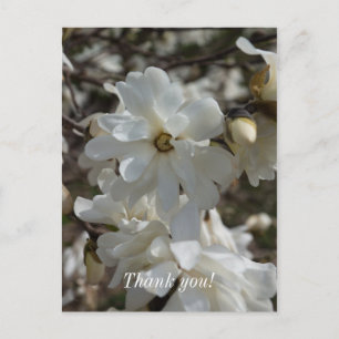 Postale Carte de remerciement avec fleurs de magnolia étoi