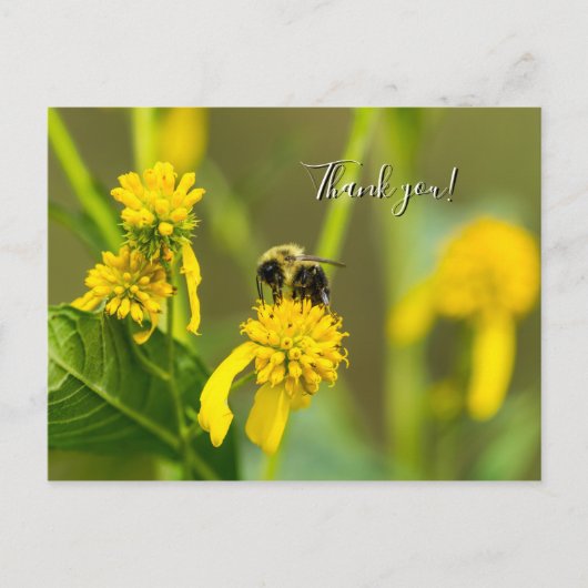 Postale Carte de remerciement Bumblebee (Devant)