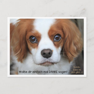 Postale Carte de remerciement - Carte de remerciement Cava