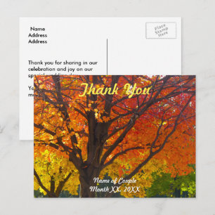 Postale Carte de remerciement de mariage Feuilles d'automn