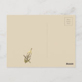 Postale Carte de remerciement de musique de violoncelle do (Dos)