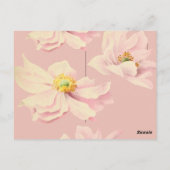 Postale Carte de remerciement funéraire à l'anémone rose,  (Dos)