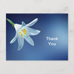 Postale Carte de remerciement Lys de Pâques