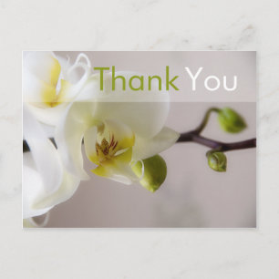 Postale Carte de remerciement Orchidée Blanche
