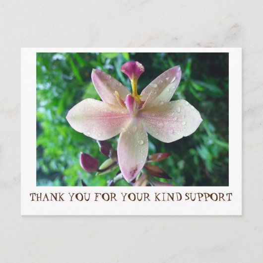 POSTALE CARTE DE REMERCIEMENTS (Devant)