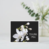 POSTALE CARTE DE REMERCIEMENTS (Debout devant)