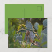 Postale Carte de remerciements écureuil (Devant / Derrière)