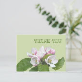 Postale Carte de remerciements, fleurs de pomme (Debout devant)