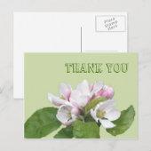 Postale Carte de remerciements, fleurs de pomme (Devant / Derrière)