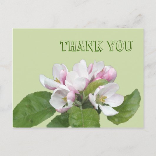 Postale Carte de remerciements, fleurs de pomme (Devant)