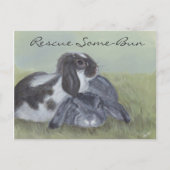 Postale Carte de Secourt de lapin (Devant)