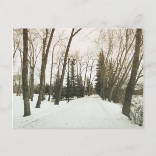 Postale Carte de style vintage - arbres en hiver