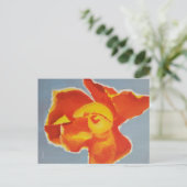 Postale Carte de sympathie Rose Bright (Debout devant)