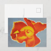 Postale Carte de sympathie Rose Bright (Devant / Derrière)