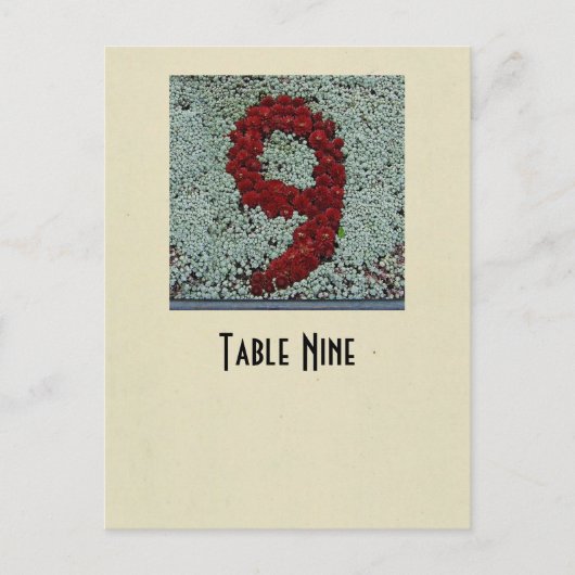 Postale Carte de table du numéro 9 de photo (Devant)