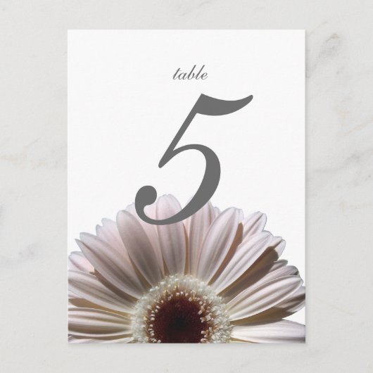 Postale Carte de table Gerbera Daisy/Mariage (Devant)