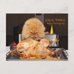 Postale Carte de Thanksgiving drôle de chat