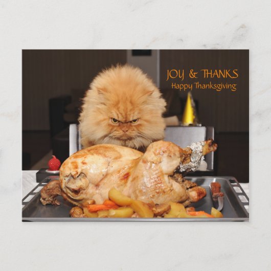 Postale Carte de Thanksgiving drôle de chat (Devant)