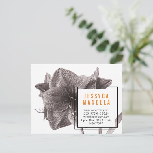 Postale Carte de visite magnétique de fleur d'Amaryllis mo (Debout devant)