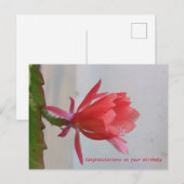 Postale Carte de voeux (Devant / Derrière)