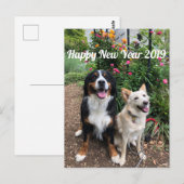 Postale Carte de vœux 2019 de Hanayuki (Devant / Derrière)