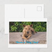 Postale Carte de voeux avec thème Chien (Devant / Derrière)