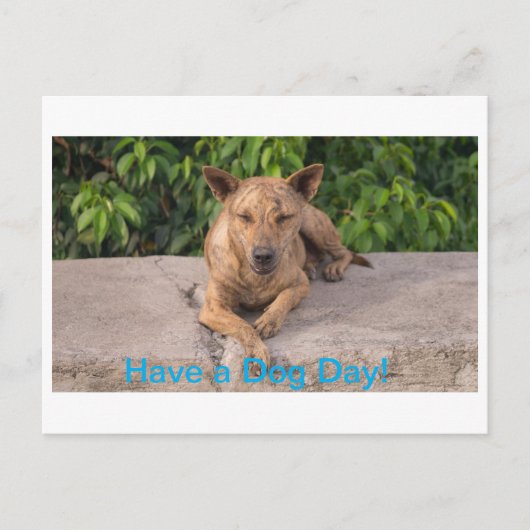 Postale Carte de voeux avec thème Chien (Devant)